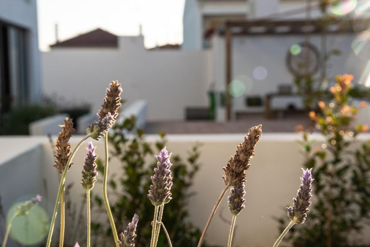 Vida Na Vila Vila Nova de Milfontes Zewnętrze zdjęcie